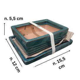 Bonsairuukku turkoosi, xs-koko