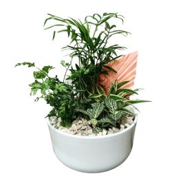 VIHERKASVI-ISTUTUS VALKOISESSA ASTIASSA