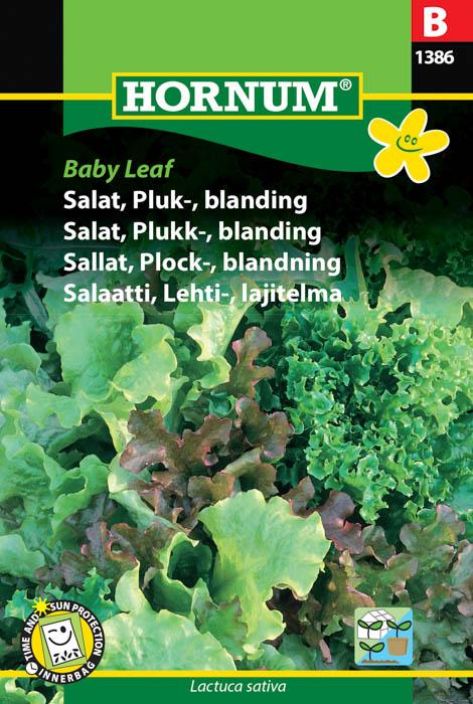 Salaattilajitelma 'Baby Leaf', 6 eri lajiketta