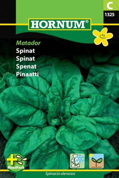 Pinaatti 'Matador'