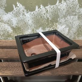 Bonsairuukku musta, s-koko