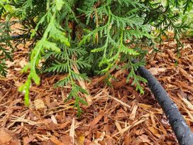 Hortex Tihkukasteluletku 15 m