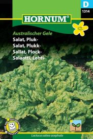 Lehtisalaatti 'Australicher Gele' Lactuca sativa acephala