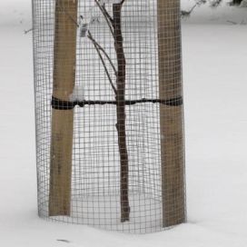 Myyräverkko 1,2x2,5m
