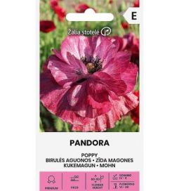 Silkkiunikko 'Pandora'
