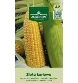 Sokerimaissi 'Złota Karłowa'