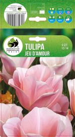 TULPPAANI 'JEU D'AMOUR' Tulipa 'Jeu D'Amour' 5 sipulia
