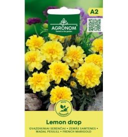 Samettikukka 'Lemon Drop'