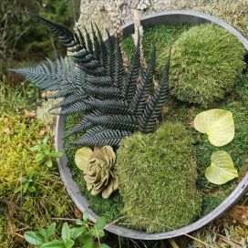 SAMMALTAULU 01, pyöreä