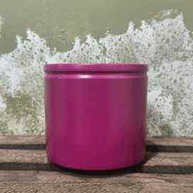 Kaulusruukku 12 cm, magenta