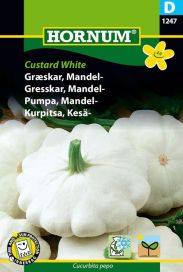 Kesäkurpitsa 'Custard White' Cucurbita pepo