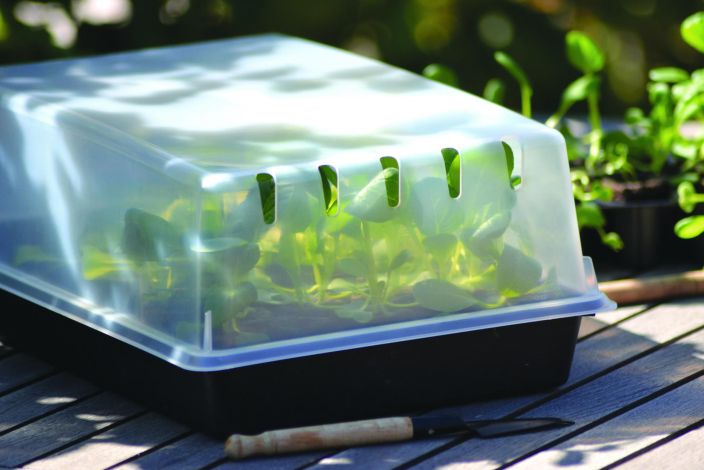 KANSI TAIMIKASVATUSLAATIKKOON 24x38 cm tuotekuva 1