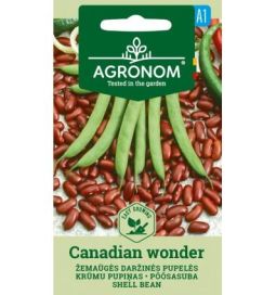 Pensaspapu 'Canadian Wonder'