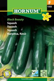 Kesäkurpitsa 'Black Beauty' Cucurbita pepo