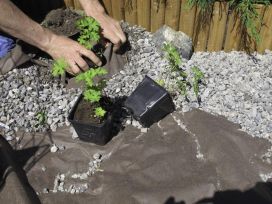 Hortex Maisemointikangas 8m²