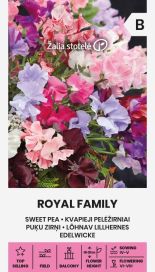 Tuoksuherne 'Royal Family'