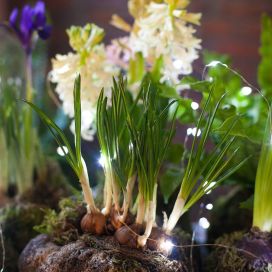 JOULUKOKEDAMA 13.12. klo 14.00