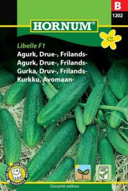 Avomaankurkku 'Libelle F1' / 'Conny F1' Cucumis sativus