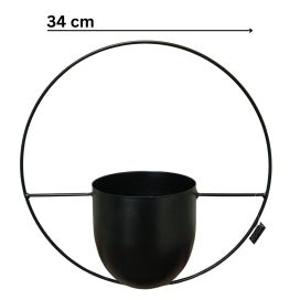 Seinäamppeli, musta