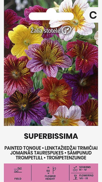 Torvikukka 'Superbissima' Kaunis, monenkirjava kesakukka Torvikukka 'Superbissima' Kaunis, monenkirjava kesakukka