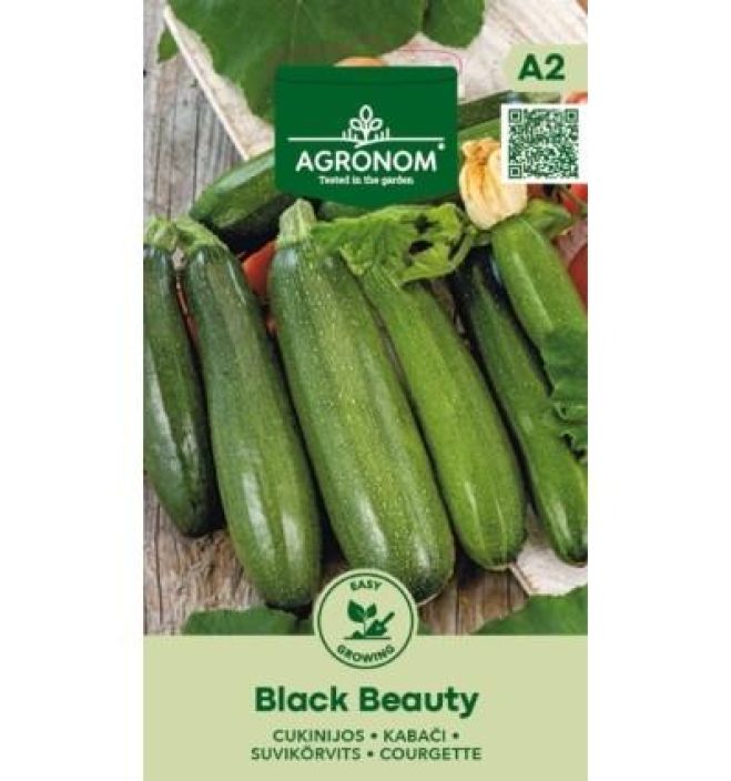 Kesakurpitsa 'Black Beauty' Tummanvihrea kesakurpitsalajike Kesakurpitsa 'Black Beauty' Tummanvihrea kesakurpitsalajike