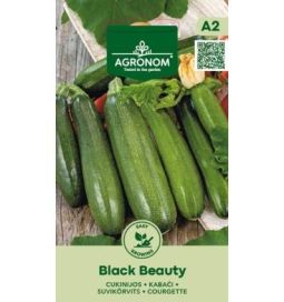 Kesäkurpitsa 'Black Beauty'