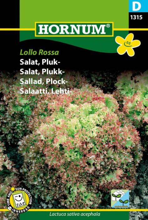 Lehtisalaatti 'Lollo Rossa'