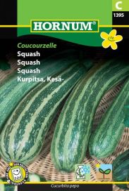 Kesäkurpitsa 'Coucourzelle' Cucurbita pepo