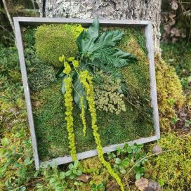 SAMMALTAULU 02, neliö