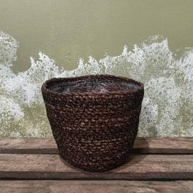 Punosruukku  16 cm, tumma