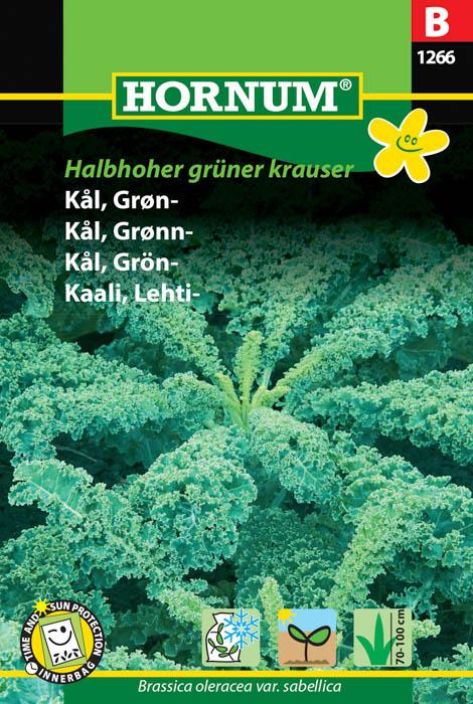 Lehtikaali 'Halbhoher gruner krauser'