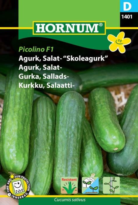 Salaattikurkku 'Picolino F1'