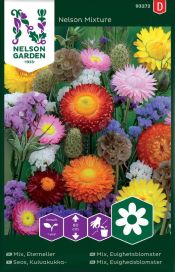 Nelson Garden Kuivakukkaseos 'Nelson Mixture'