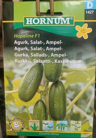 Kasvihuonekurkku 'Hopeline F1' Cucumis sativus