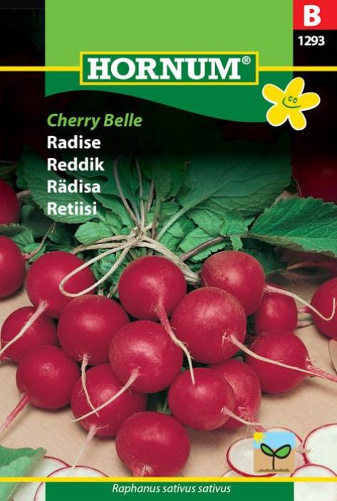 Retiisi 'Cherry Belle'