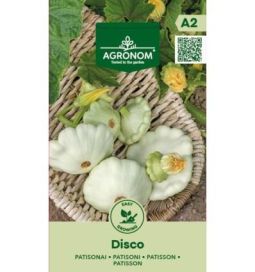 Kurpitsa 'Disco'