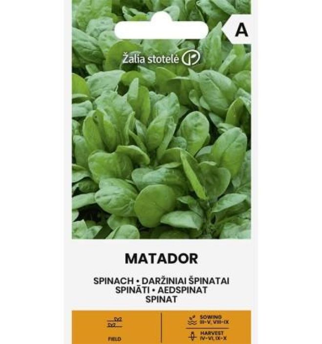Pinaatti 'Matador' Keskivarhainen, hyvin satoisa pinaattilajike. Pinaatti 'Matador' Keskivarhainen, hyvin satoisa pinaattilajike.
