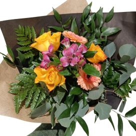 YSTÄVÄNPÄIVÄKIMPPU VÄRIKÄS